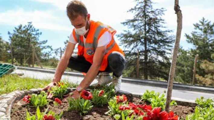 Talas'ta 100 bin çiçek dikildi