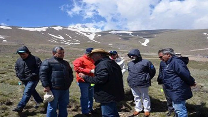 Erciyes'te yüksek dağ ağaçlandırması denemeleri