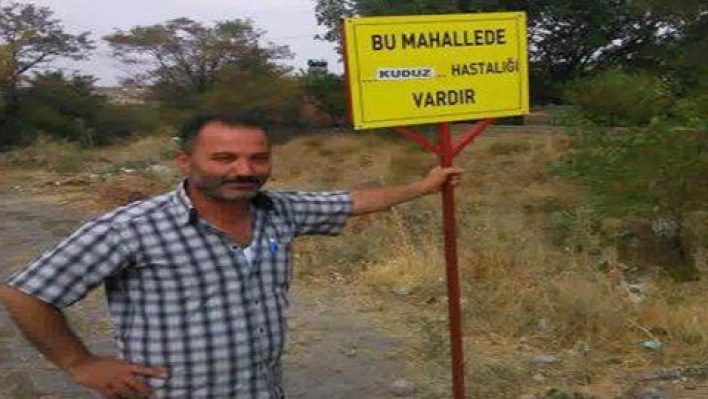 Hacılar'da başıboş köpek tepkisi