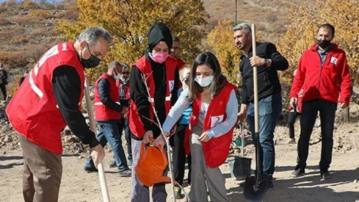 Kızılay Haftasında Ali Dağına yüzlerce meyve ağacı dikildi