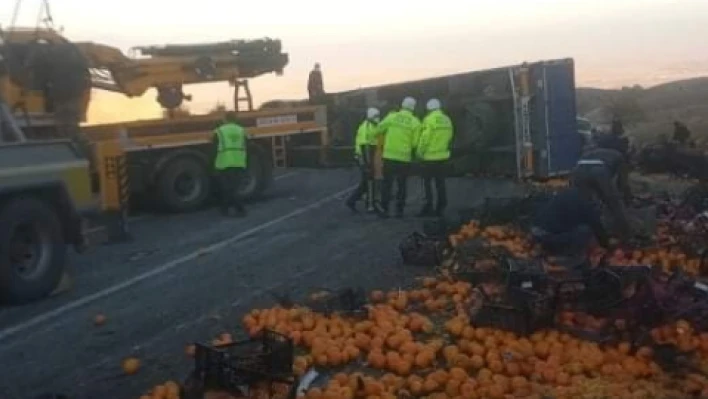 Tonlarca mandalina yollara saçıldı