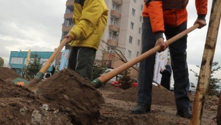 Başkan Çolakbayrakdar, 'Çocuklar için yeni yapılan bütün parklarda toprak alan yapıyoruz'