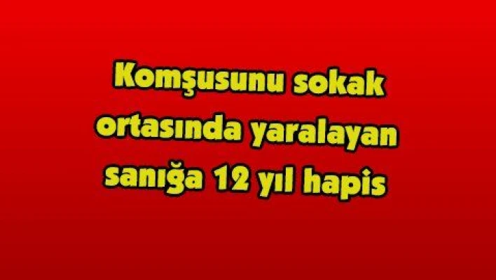 Komşusunu sokak ortasında yaralayan sanığa 12 yıl hapis