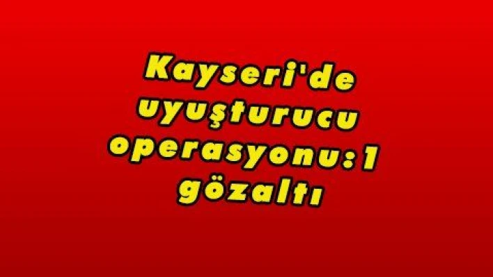 Kayseri'de uyuşturucu operasyonu:1 gözaltı