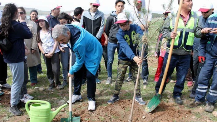 20 bin kişinin katılımıyla 10 bin fidan toprak ile buluştu   