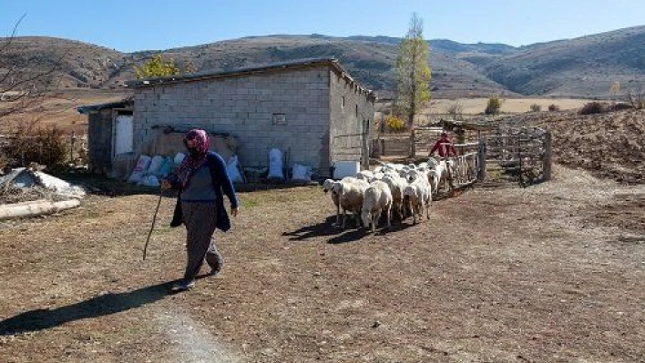 11 milyonluk projede kuralar çekiliyor