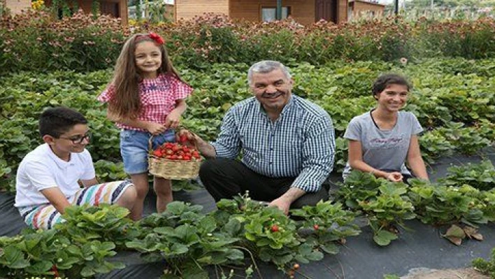 Başkan Çelik'ten doğal çağrı 