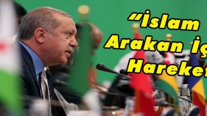 'İslam Ülkeleri, Arakan İçin Birlikte Hareket Etmeli'