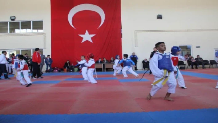 Kayseri Emniyet Müdürlüğü Bölgesel Taekwondo Şampiyonası düzenledi