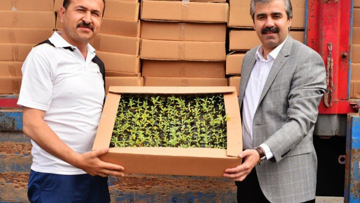 83 Bin Adet Tıbbi ve Aromatik Bitki Dağıtım Töreni Yapıldı