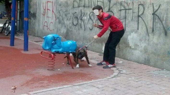 Köpeğin saldırdığı adam kolundan yaralandı