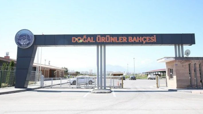 Büyükşehir'in 'Doğal Ürünler Bahçesi Pazarı' açılıyor