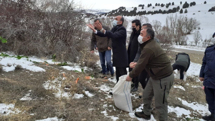 Doğadaki hayvanlara yem bırakıldı