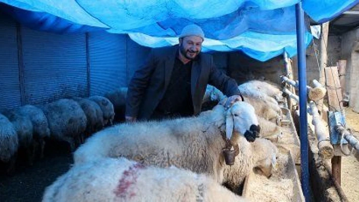 Kentten köye göç edip devlet desteğiyle hayvancılığa başladı