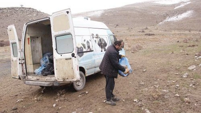 Bünyan Belediyesi hayvanlar için doğaya yem bıraktı