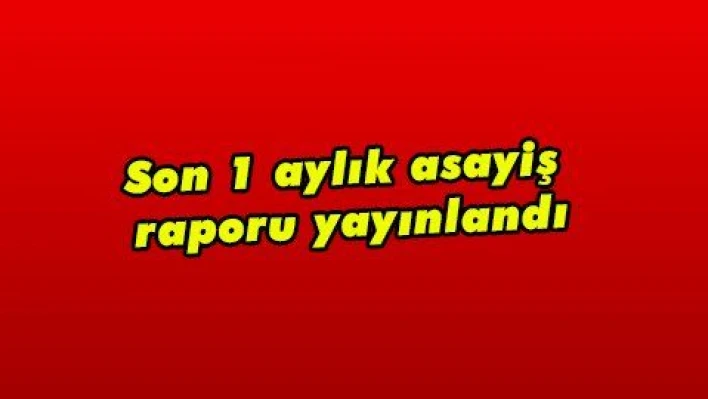 Son 1 aylık asayiş raporu yayınlandı  