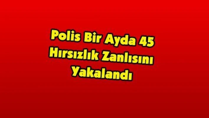 Polis Bir Ayda 45 Hırsızlık Zanlısını Yakalandı