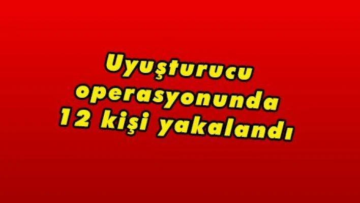 Uyuşturucu operasyonunda 12 kişi yakalandı 