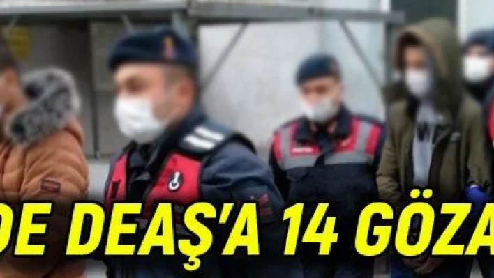 Kayseri'de DEAŞ'a 14 gözaltı