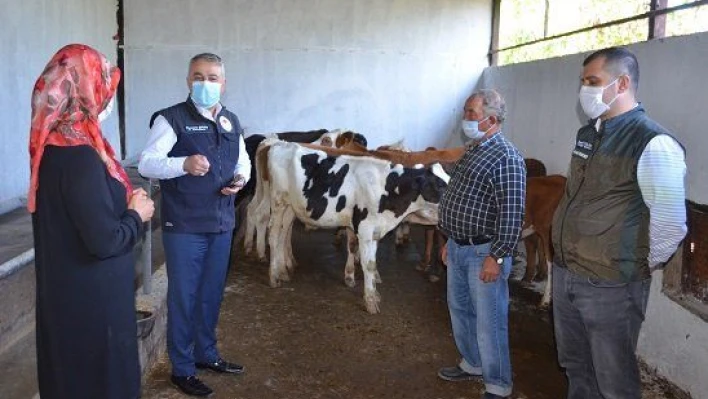 Kayseri'de ahırı yanan çiftçiye buzağı ve yem yardımı yapıldı