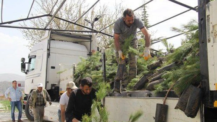 Bünyan'da 20 bin fidan toprakla buluşturacak