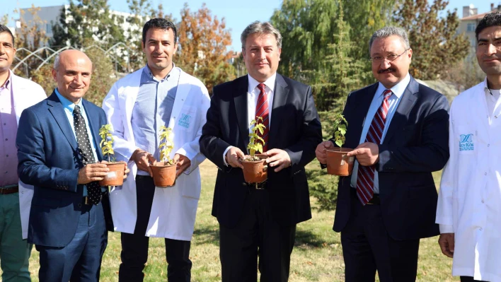 Talas Belediyesi ile Erciyes Üniversitesi 'Talas'ın Karadut'unu yaşatacak 