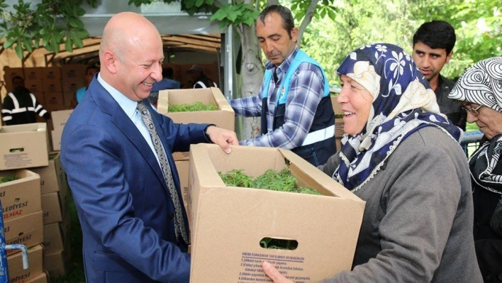 Fideler ilk ürünleri verdi