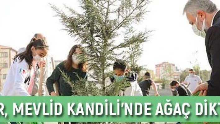 Çolakbayrakdar, Mevlid Kandili'nde ağaç dikti