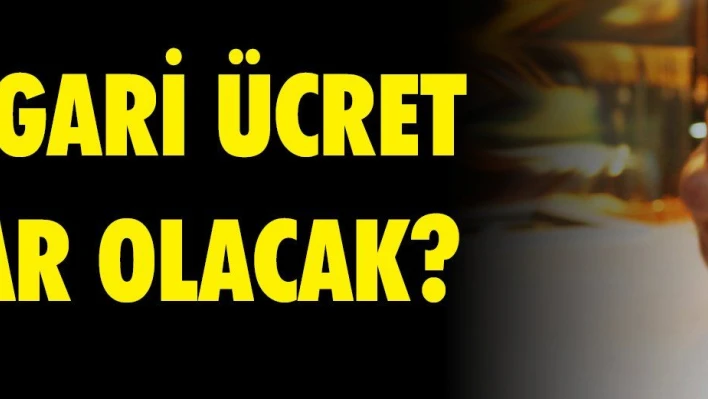 2020 Asgari Ücret Ne Kadar Olacak?