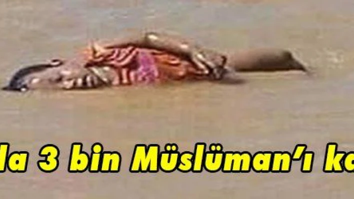 Arakan'da 3 bin Müslümanı katlettiler