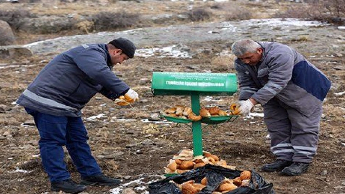 Talas Belediyesi yaban ve sokak hayvanlarını unutmadı