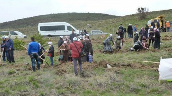 Otizm Farkındalık Ormanı'na 1000 adet fidan dikildi