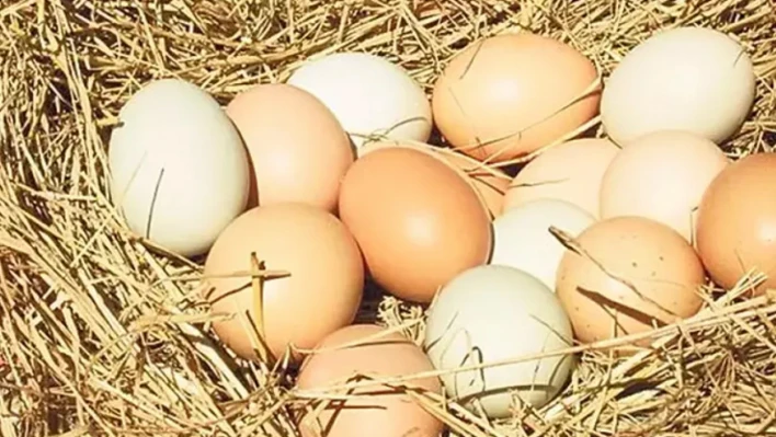 Kayserililer dikkat: Yumurta fiyatlarında büyük düşüş!