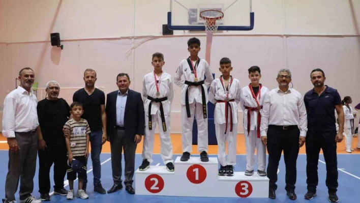 Murat Şimşek Anısına Taekwondo İl Şampiyonası Düzenlendi