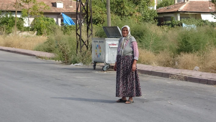 Köpek saldırısı sonrası kahraman teyze bakın neler söyledi...