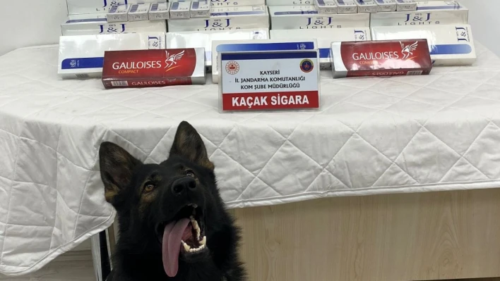 Sigara kaçakçılarına engel oldu