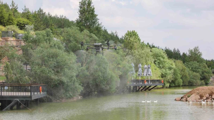 Zincidere Mesire Alanı drone ile ilaçlandı